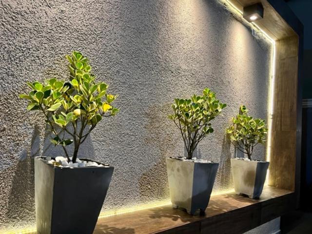 과루자 Marmeu Tropical 아파트 외부 사진